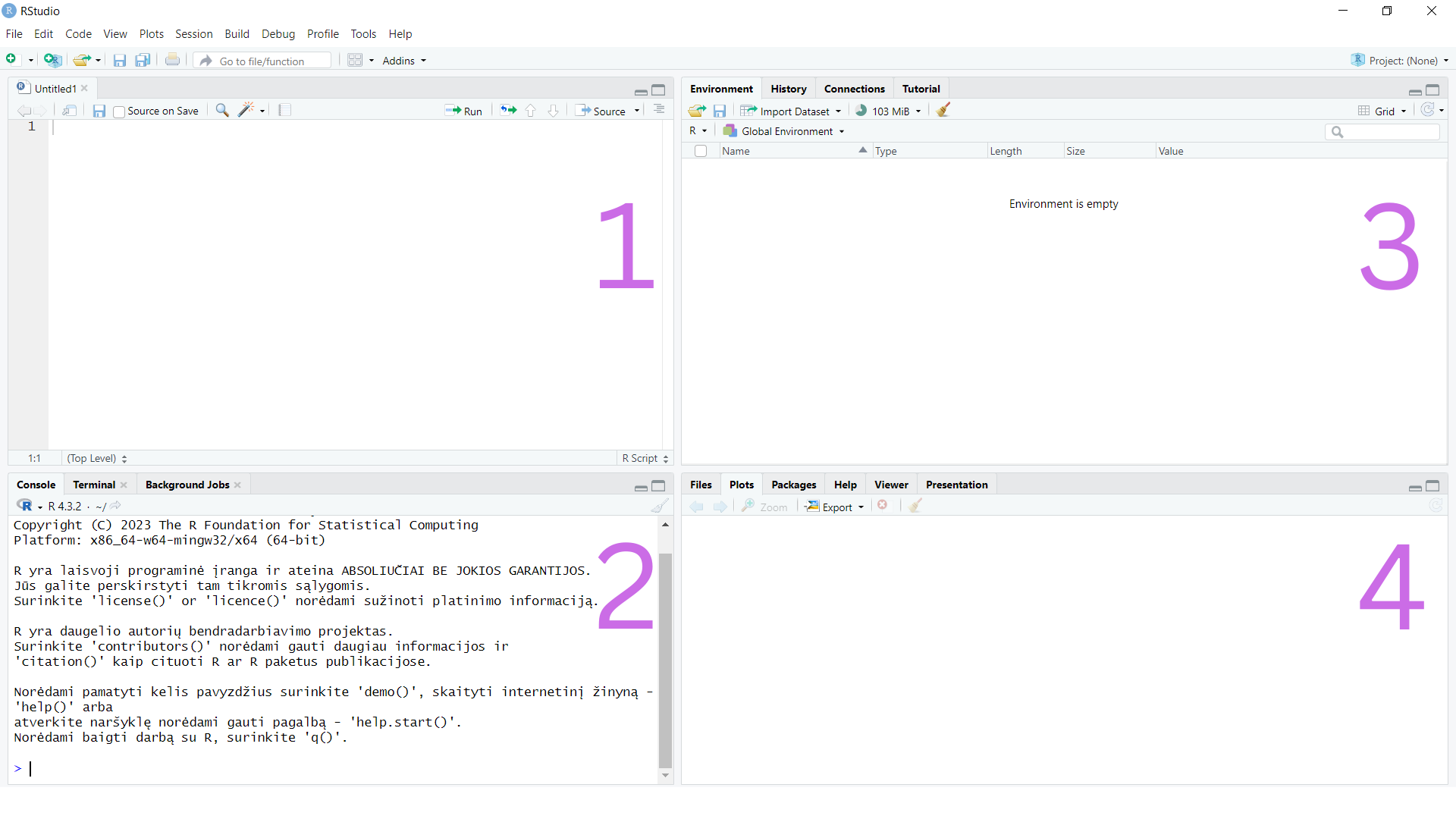 RStudio grafinės sąsajos išdėstymas